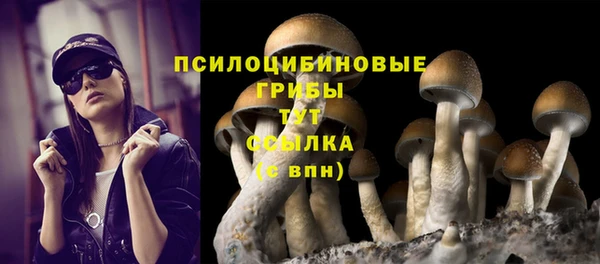 синтетический гашиш Горняк