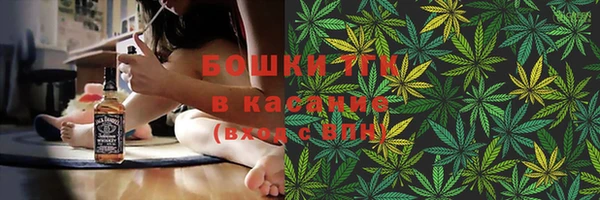 дмт Горнозаводск