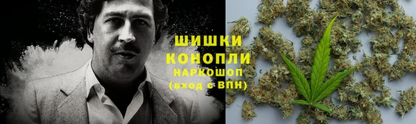 альфа пвп Гусиноозёрск