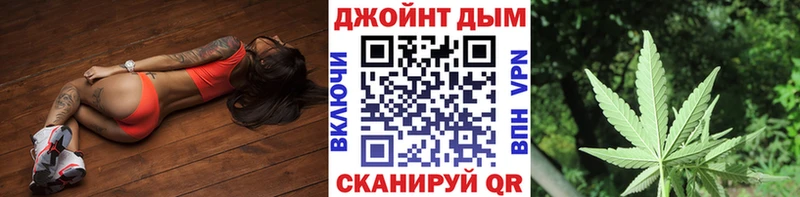 сколько стоит  Дорогобуж  Бошки Шишки ГИДРОПОН 